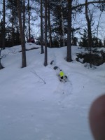 /album/patu/maalliskuu-062-jpg/